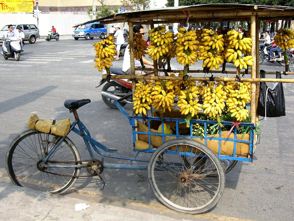 Viet nam fruit tropics