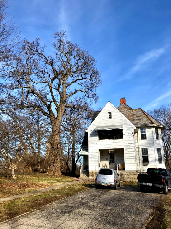 Glenview Avenue, College Hill, Cincinnati, OH 