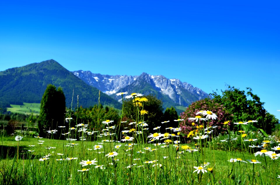 Mountains landscape spring