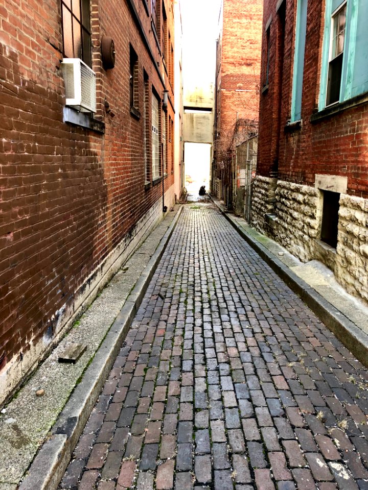 Beloit Alley, West End, Cincinnati, OH 