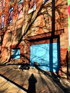 Sedalia Alley, Walnut Hills, Cincinnati, OH 