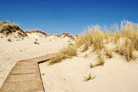 Sand dessert beach