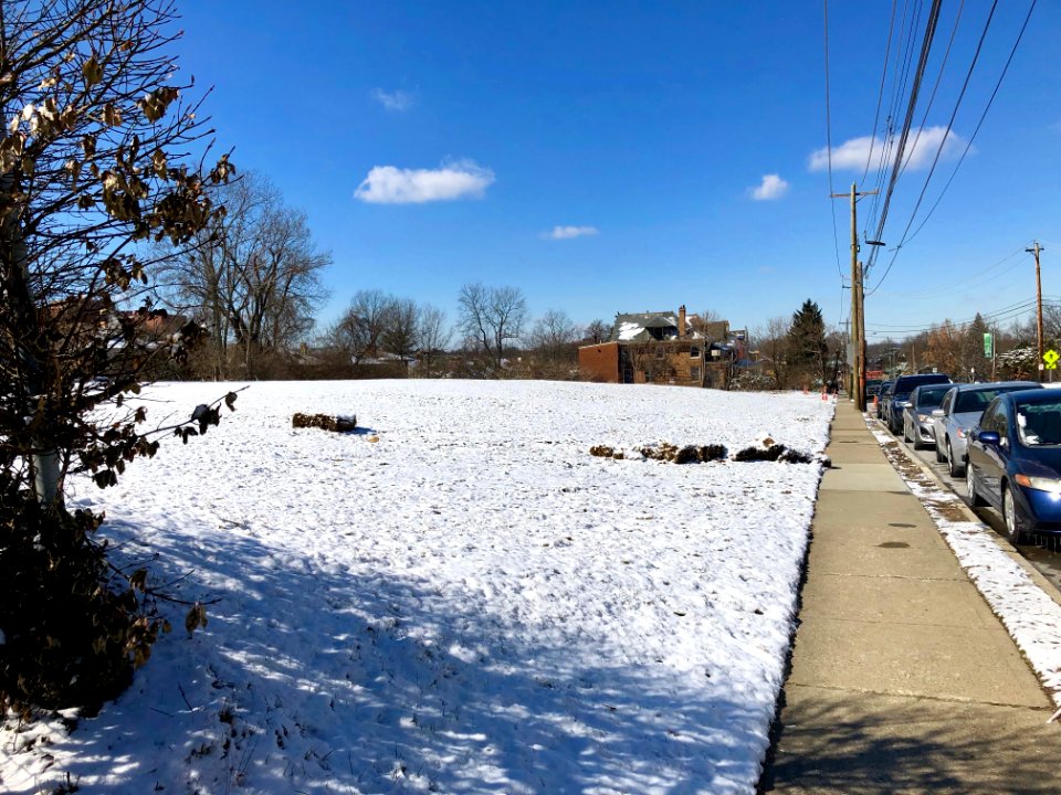 Erkenbrecher Avenue, Avondale, Cincinnati, OH 