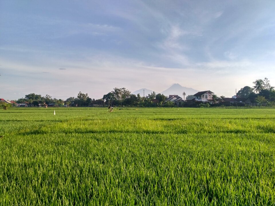 Jogja nogotirto yogyakarta