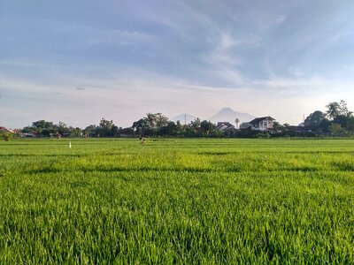 Jogja nogotirto yogyakarta