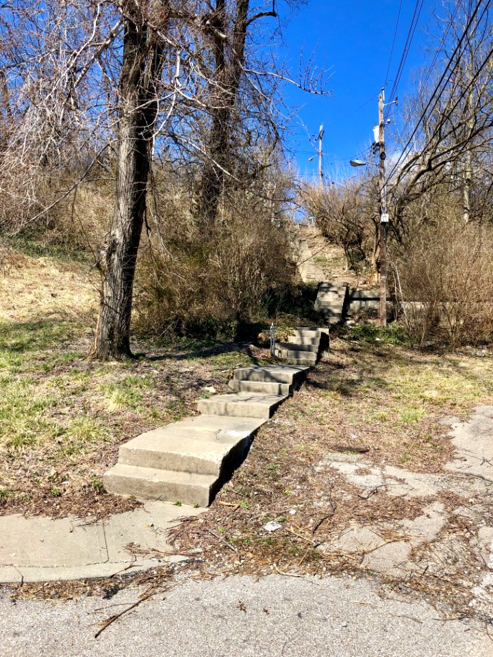 Mount Hope Avenue Steps, Sedamsville, Cincinnati, OH 