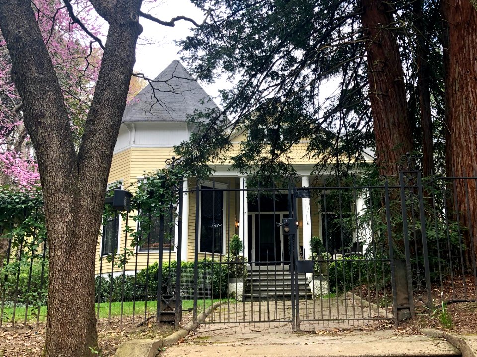 Elizabeth Street, Inman Park, Atlanta, GA 