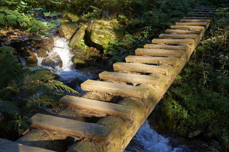 Creek torrent slovakia