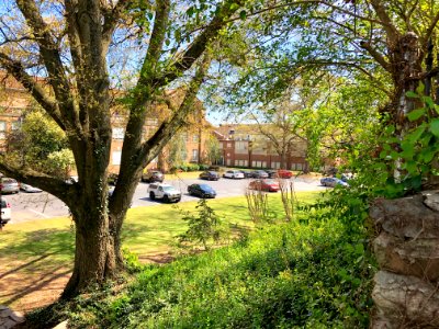Roosevelt High School (Girls High School), Grant Park, Atl… 