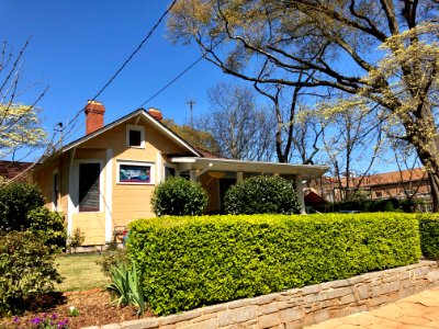 Rosalia Street, Grant Park, Atlanta, GA 