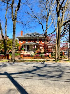 Piedmont Avenue, Midtown, Atlanta, GA 