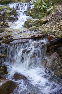 Creek torrent slovakia