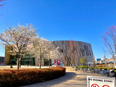 The Center for Civil and Human Rights, Atlanta, GA 