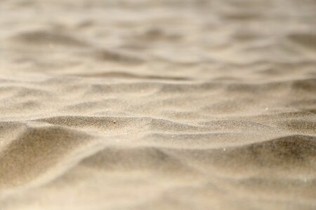 Sand beach the micro photo