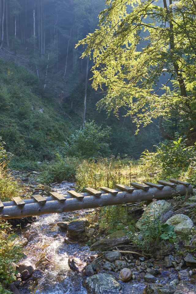 Creek torrent slovakia