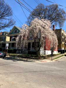 Bishop Street, Corryville, Cincinnati, OH 