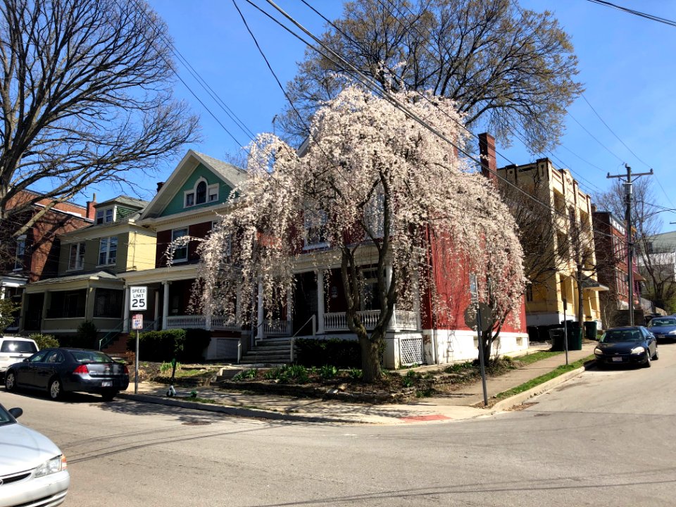 Bishop Street, Corryville, Cincinnati, OH 