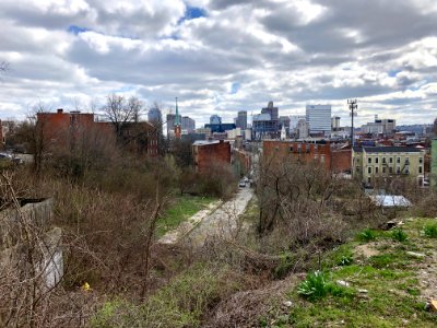 View from Main Street Steps, Over-the-Rhine, Cincinnati, O… photo