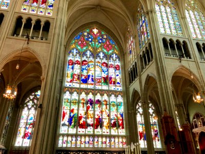 Stained Glass Windows, St. Mary's Cathedral Basilica of th… 
