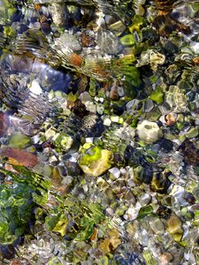 Background structure waters