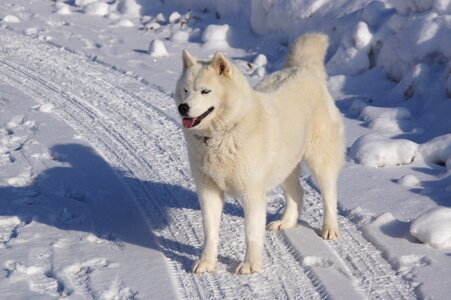 Savoie snow nature