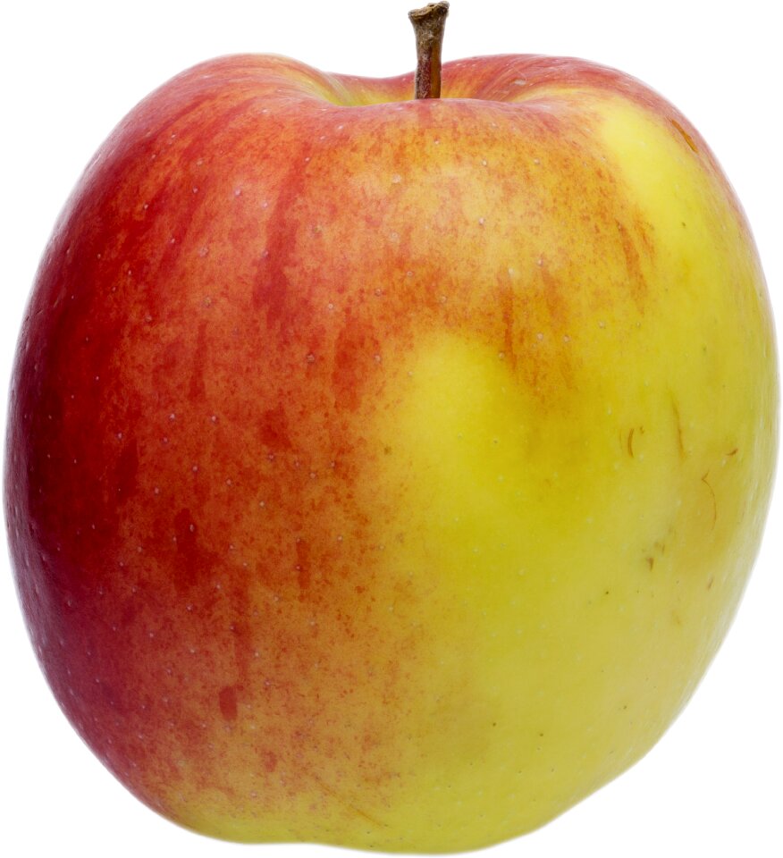 Fresh white background apple