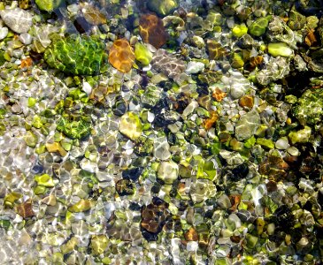 Background structure waters