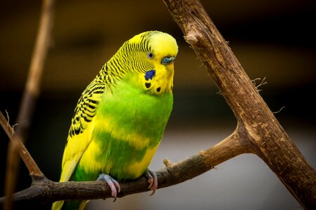 Color colorful colourful