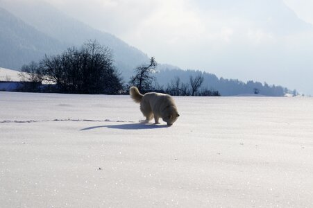 Winter bauges snow