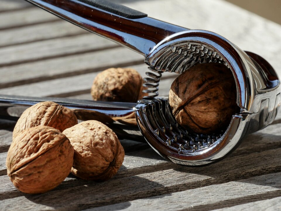 Nut autumn fruit bowl