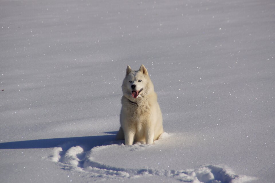 Winter bauges snow