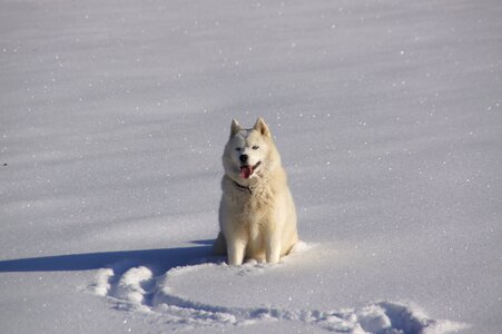 Winter bauges snow