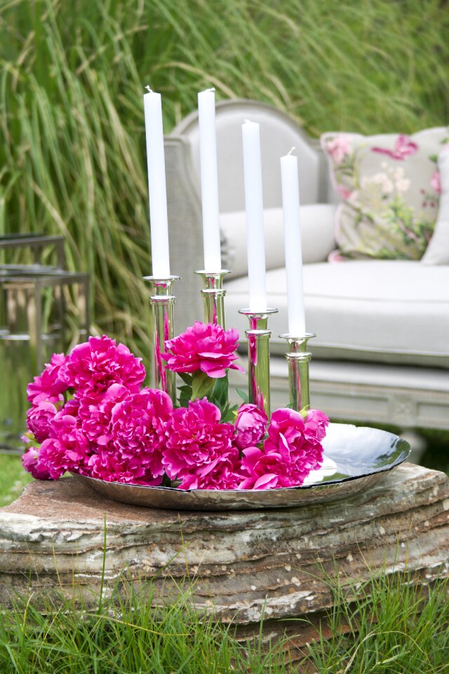 Pink decor nature