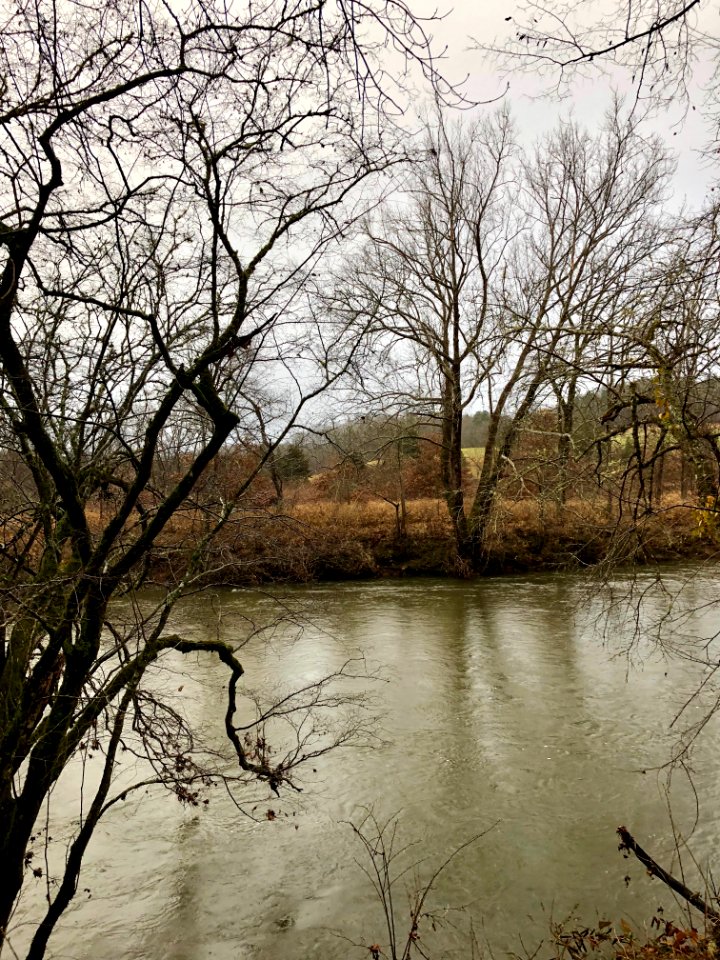 Cowee Mound Site, Cowee, NC 