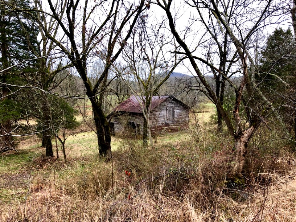 Barn, Cowee, NC 