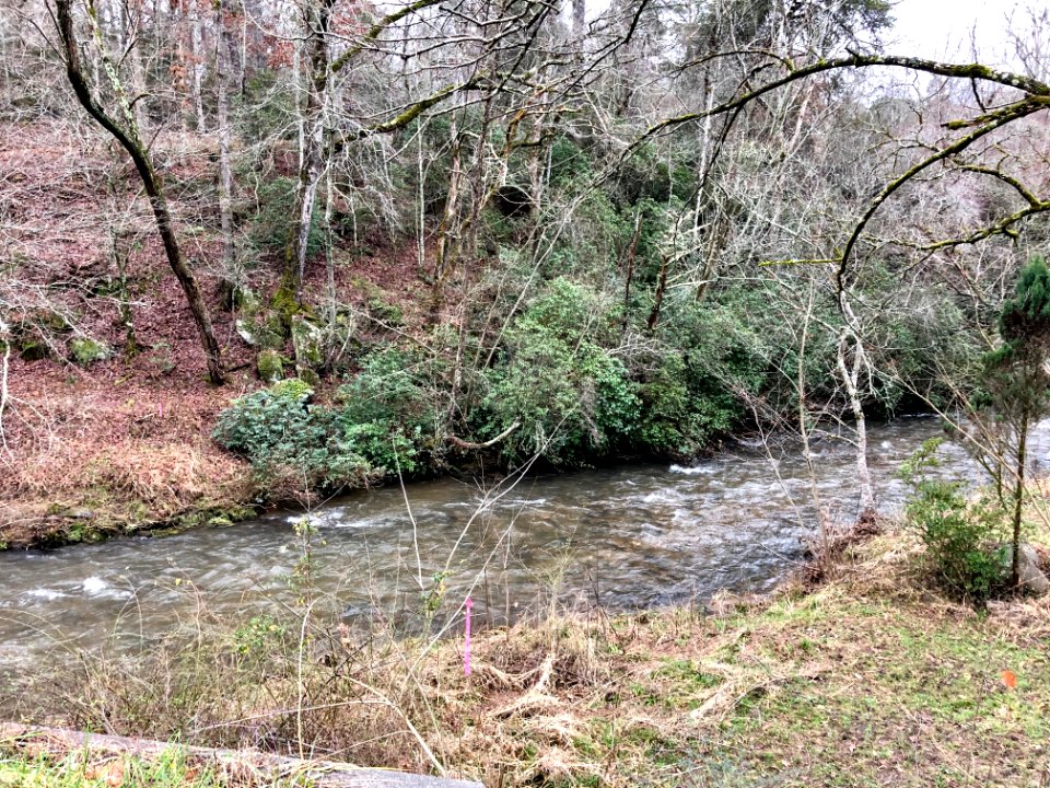Cowee Creek, Cowee, NC 