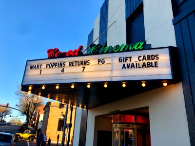 Marquee, Co-Ed Cinema, Brevard, NC 