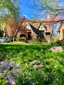 Warren Avenue, Clifton, Cincinnati, OH 