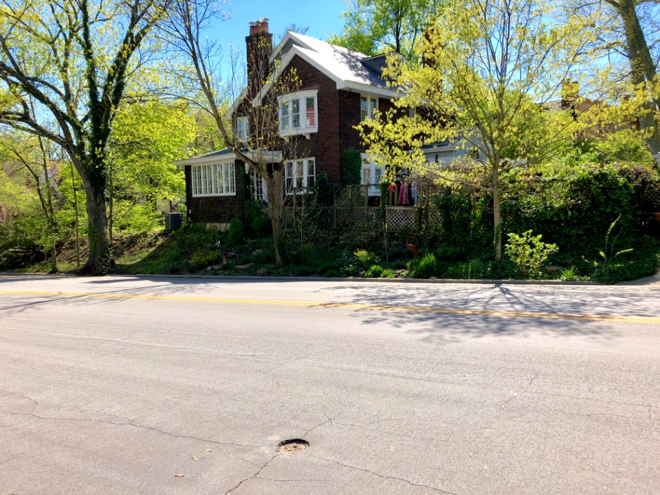 Warren Avenue, Clifton, Cincinnati, OH 