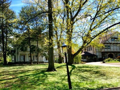 Lafayette Avenue, Clifton, Cincinnati, OH 