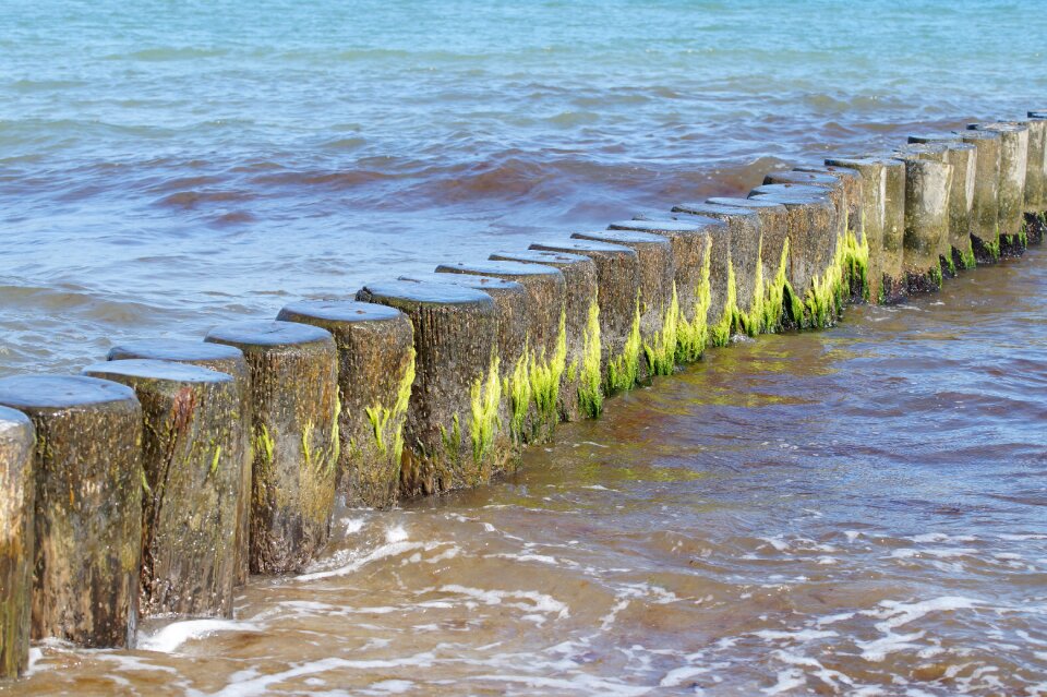 Jackdaws wave vacations