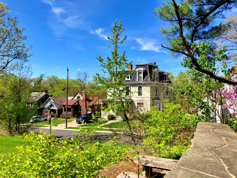 Amazon Avenue, Clifton, Cincinnati, OH 