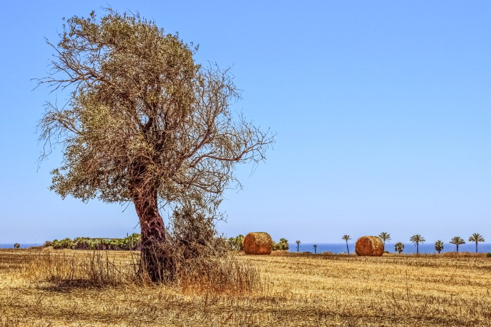 Landscape mediterranean nature