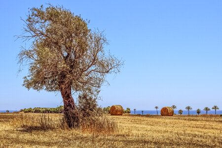 Landscape mediterranean nature photo