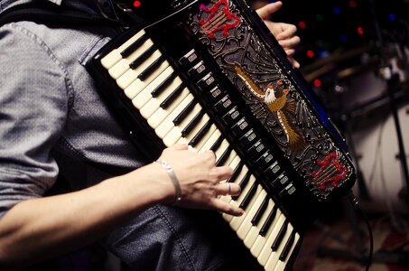 Accordion harmonica acordeon