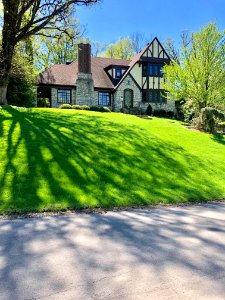 Red Bud Avenue, North Avondale, Cincinnati, OH 