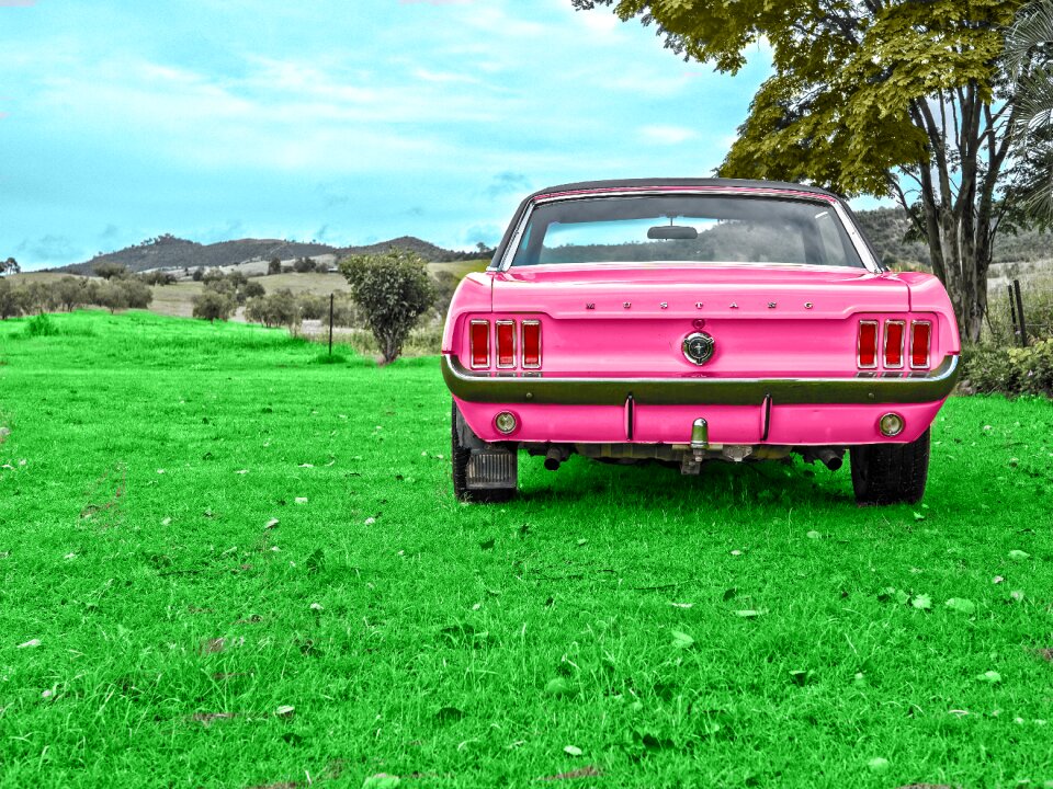 Mustang photoshop fresh