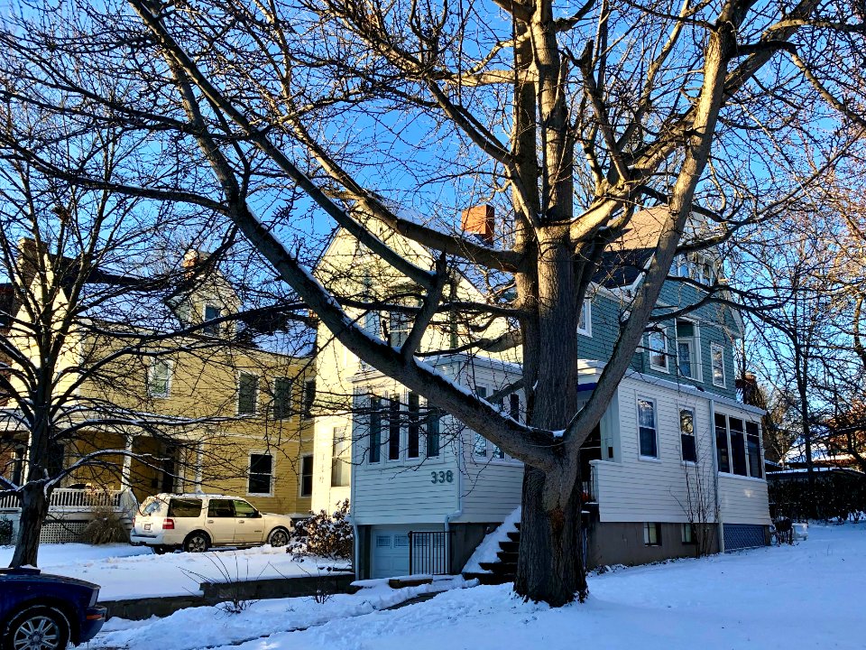 Bryant Avenue, Clifton, Cincinnati, OH 