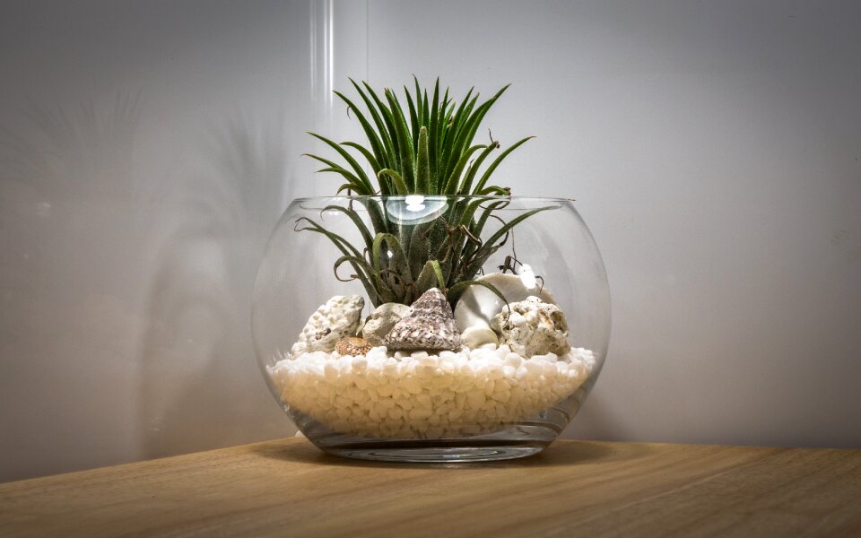 Glass wood container