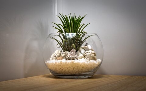 Glass wood container